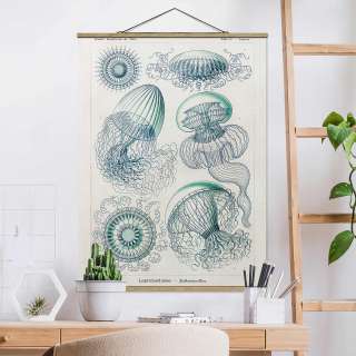 home24 Stoffbild Vintage Lehrtafel Quallen II