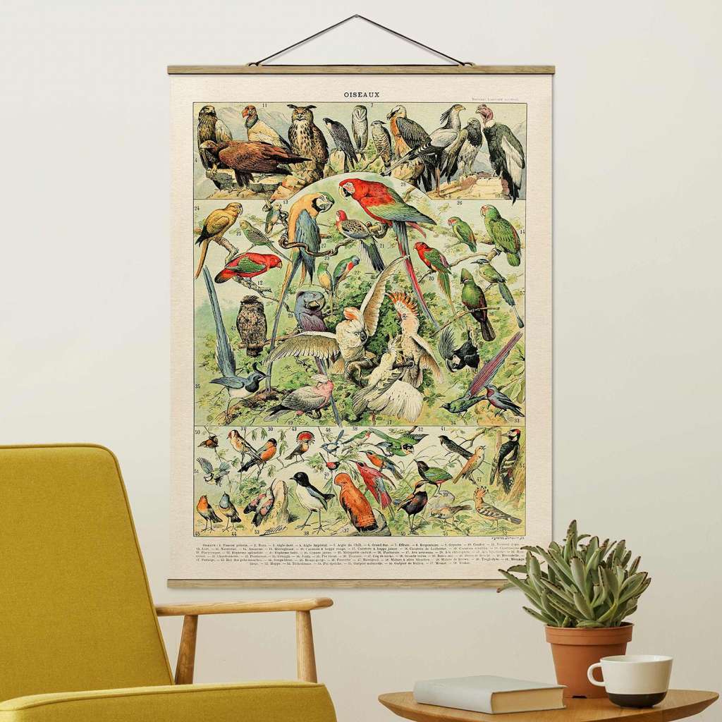 home24 Stoffbild Vintage Lehrtafel Vögel