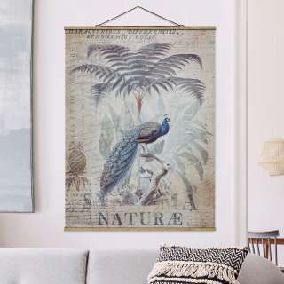 home24 Stoffbild Shabby Chic Collage Pfau