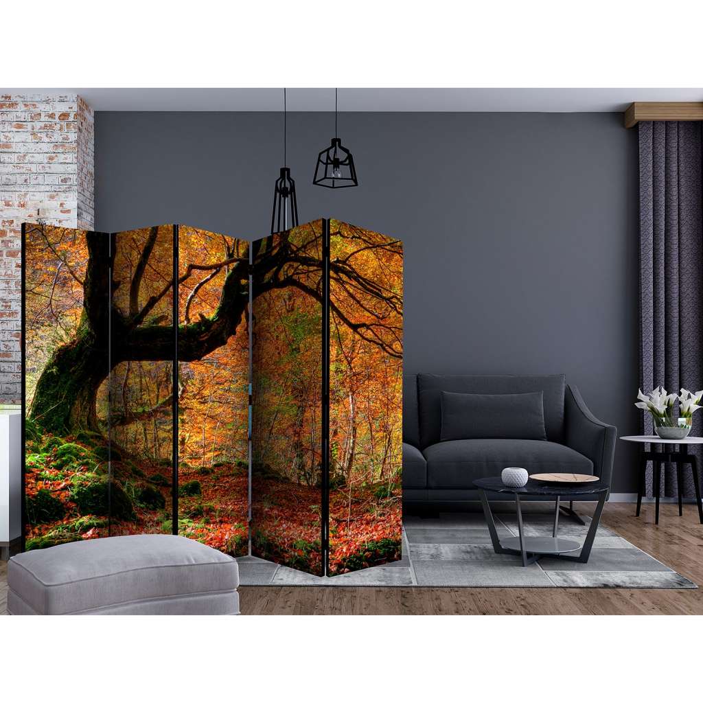 home24 Paravent Autumn Forest and Leaves