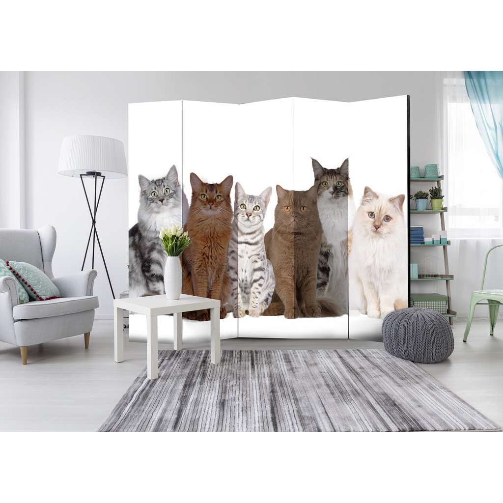 home24 Paravent Sweet Cats