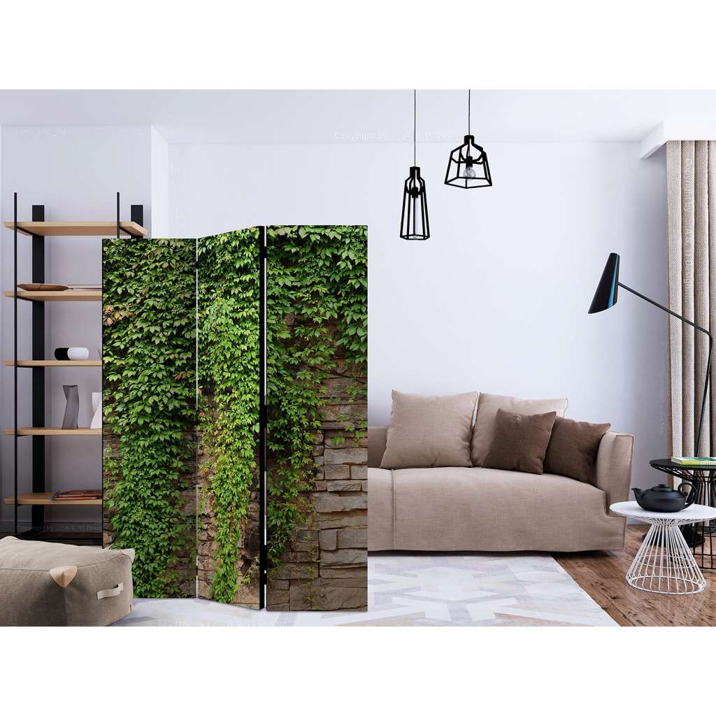 home24 Paravent Ivy wall