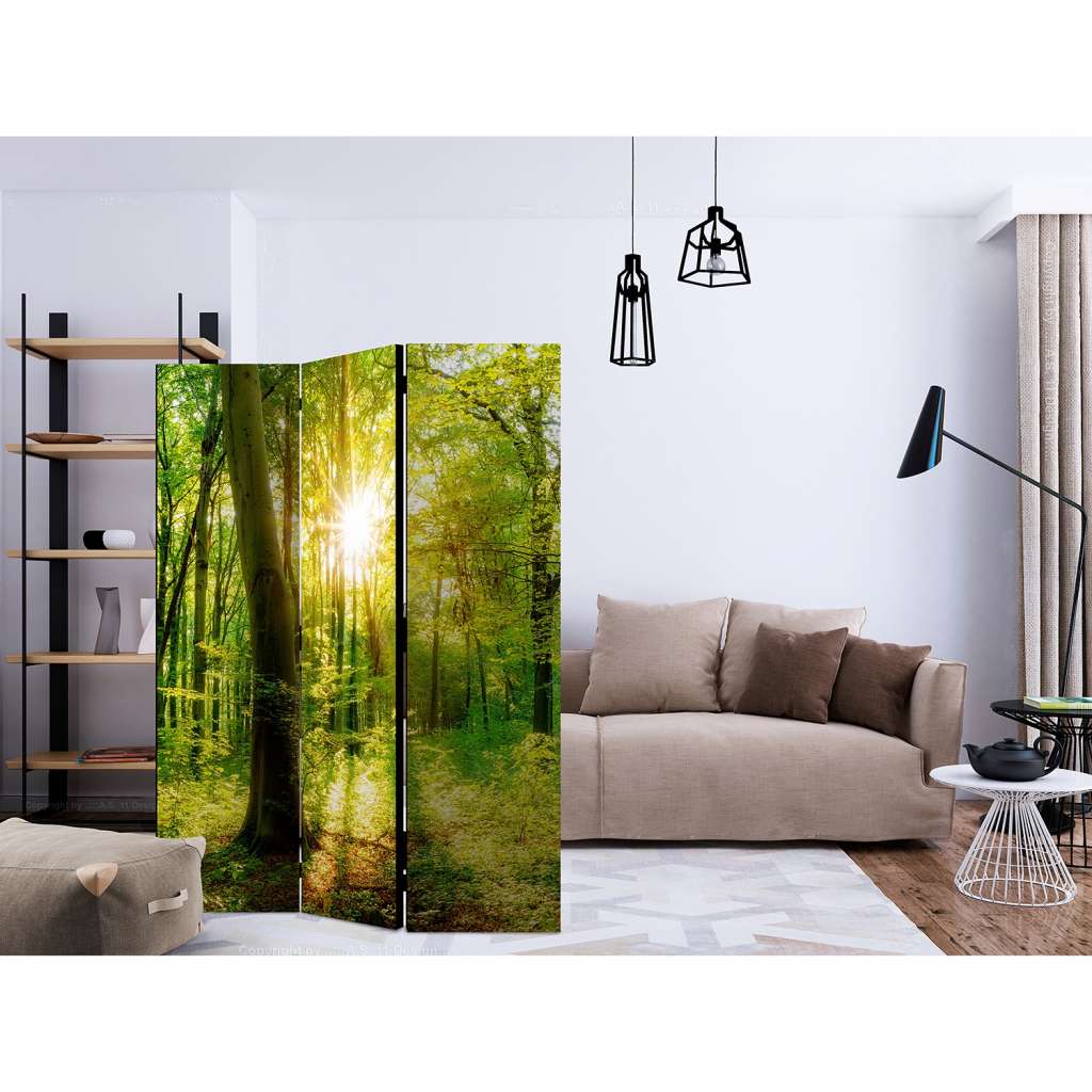 home24 Paravent Forest Rays