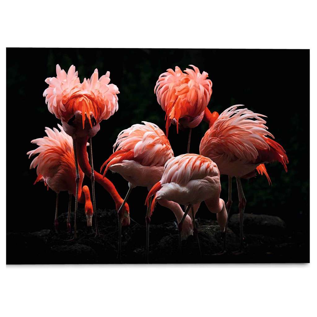 home24 Glasbild Flamingos Renee Claeys