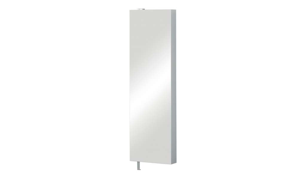 Schuh- und Mehrzweckschrank  Pictura ¦ silber Garderoben & Kleiderstangen > Schuhschränke - Höffner