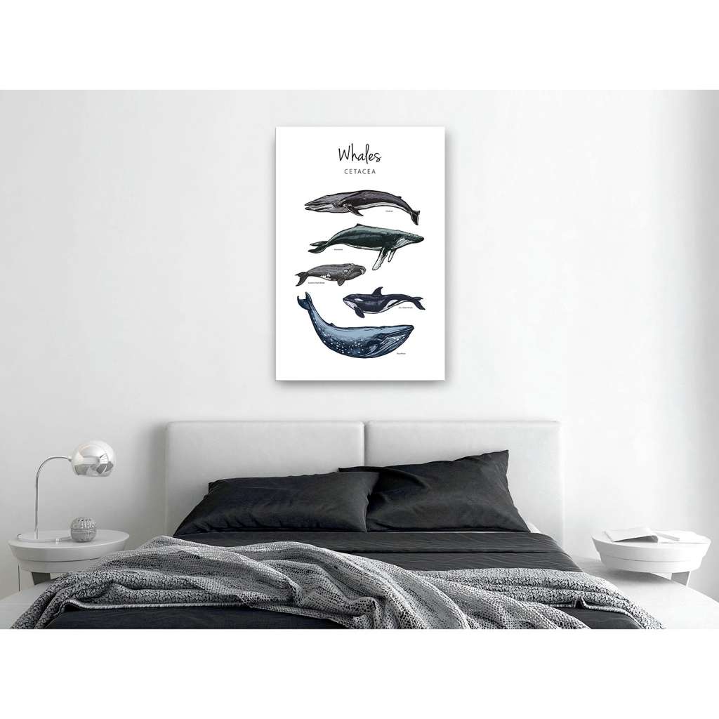 home24 Wandbild Whales