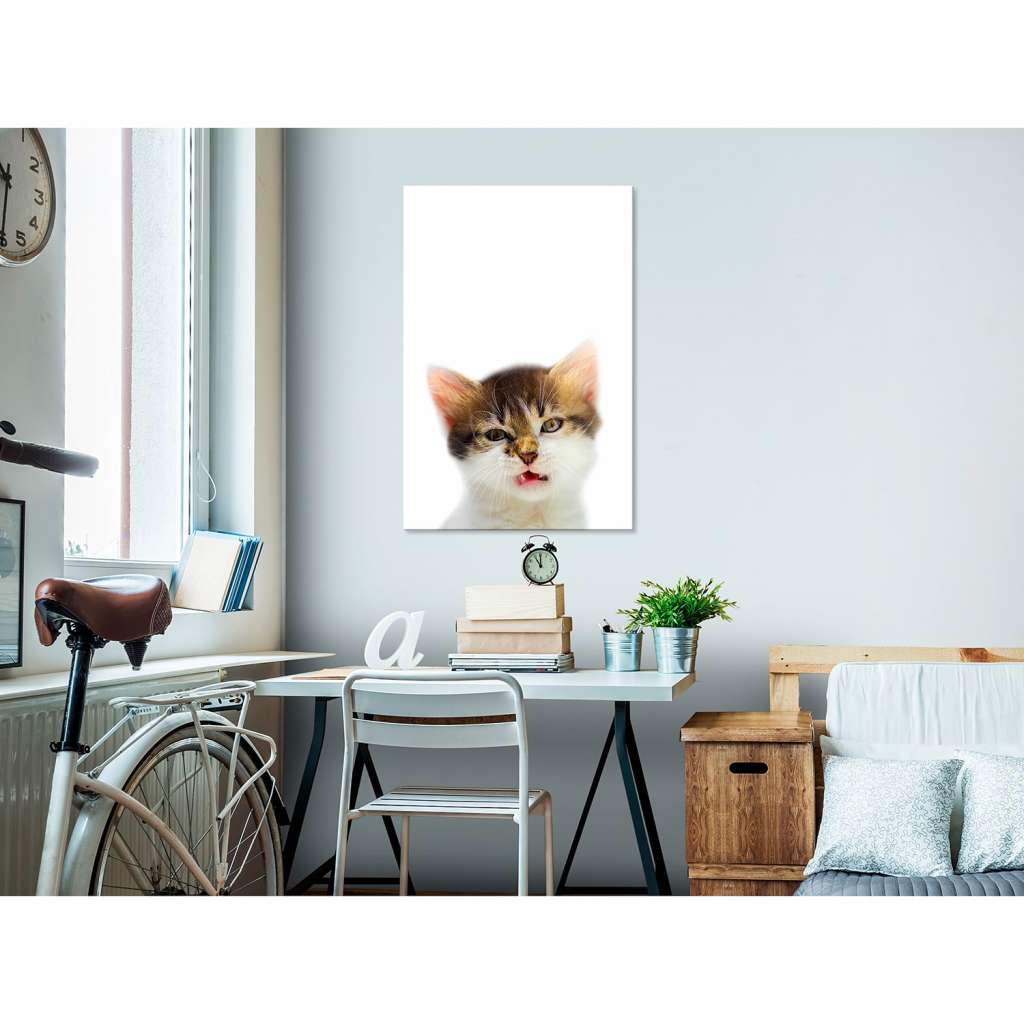 home24 Wandbild Vexed Cat