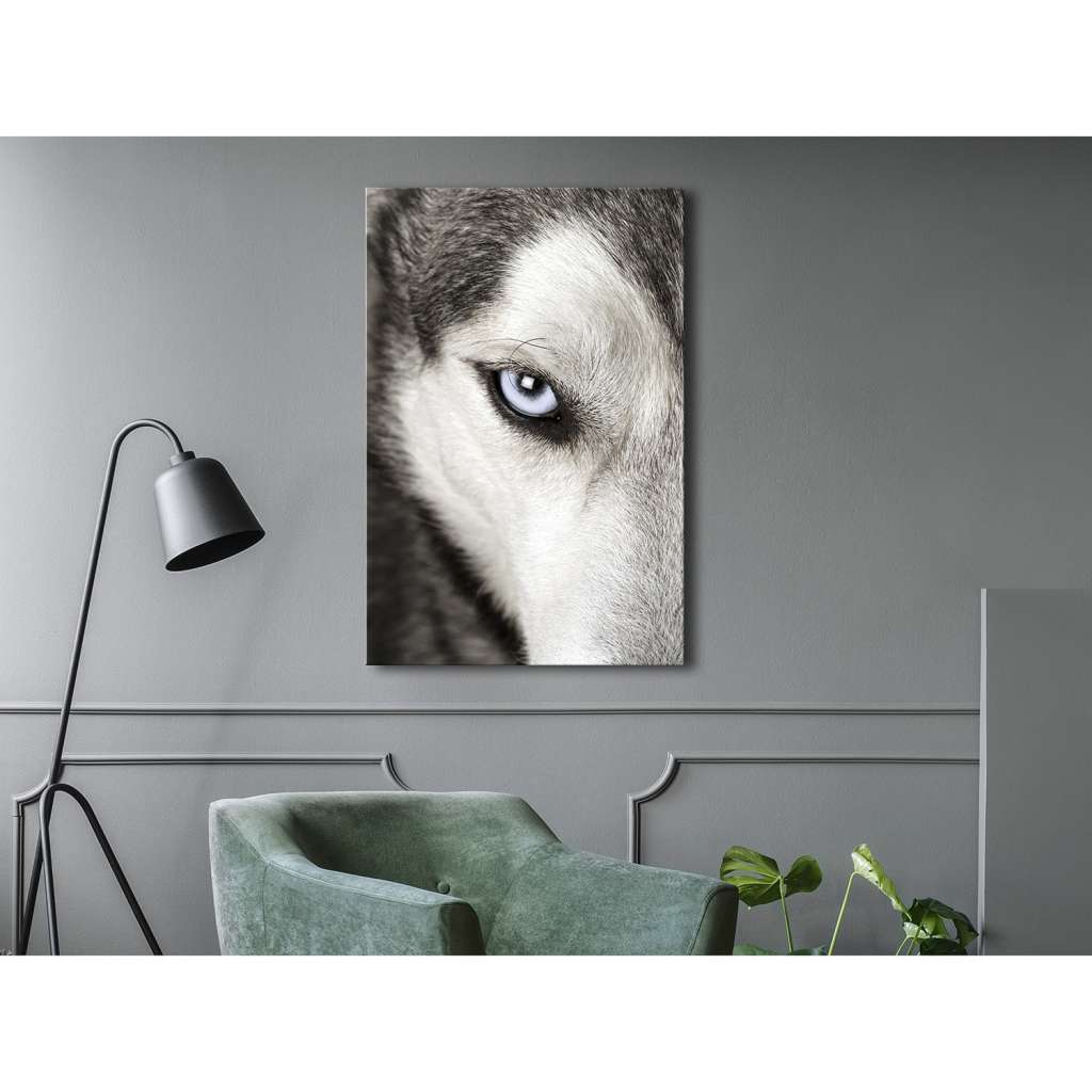 home24 Wandbild Dogs Look