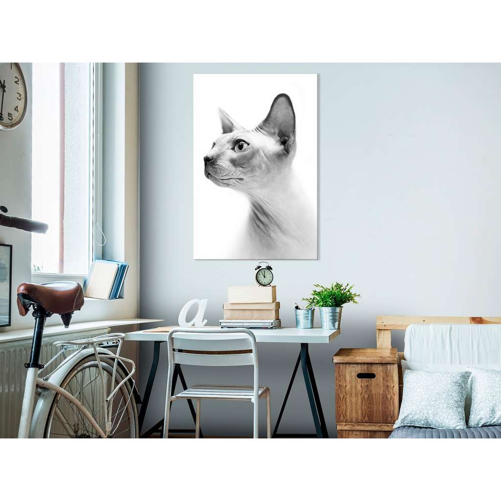 home24 Wandbild Hairless Cat