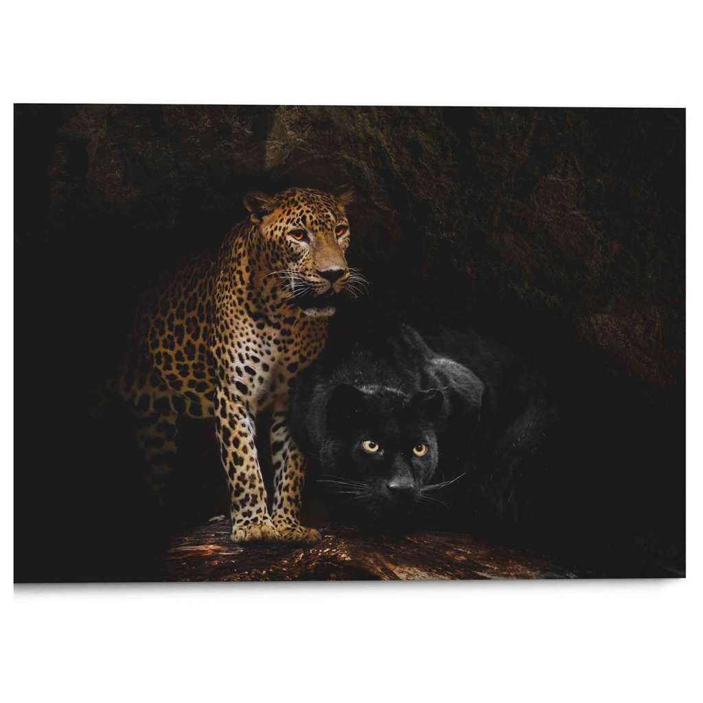 home24 Wandbild Raubtiere Panther