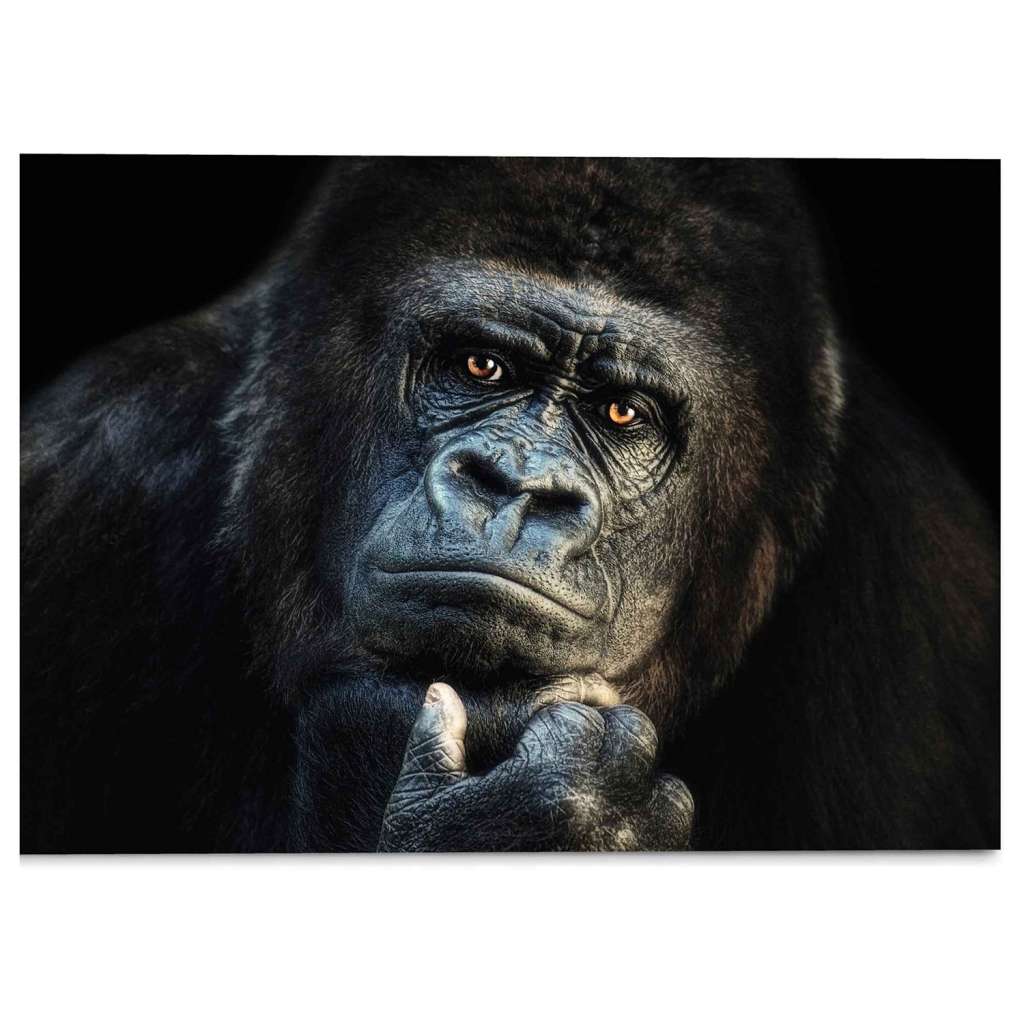 home24 Glasbild Gorilla Affe