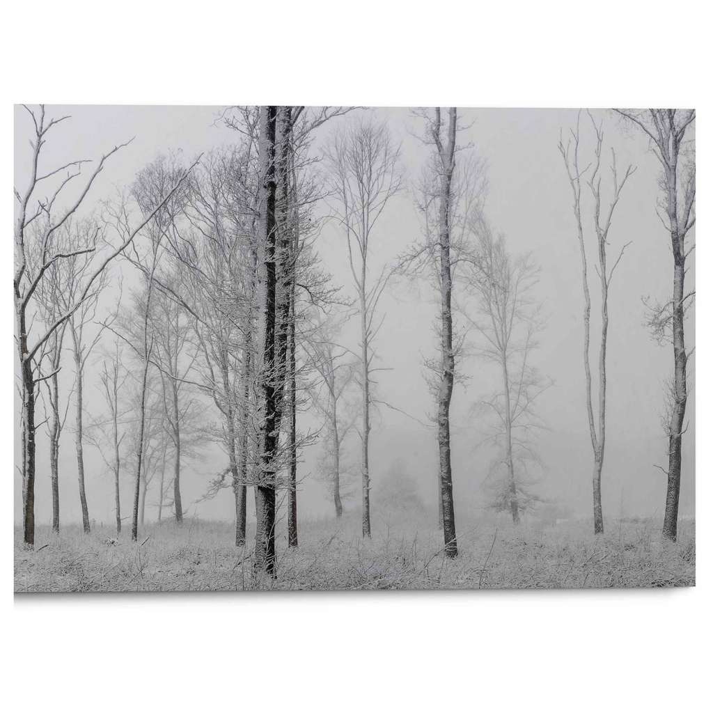 home24 Wandbild Still Natur
