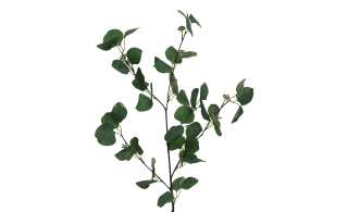 Eukalyptuszweig ¦ grün ¦ Kunststoff Ø: 21 Dekoration > Kunstblumen - Höffner