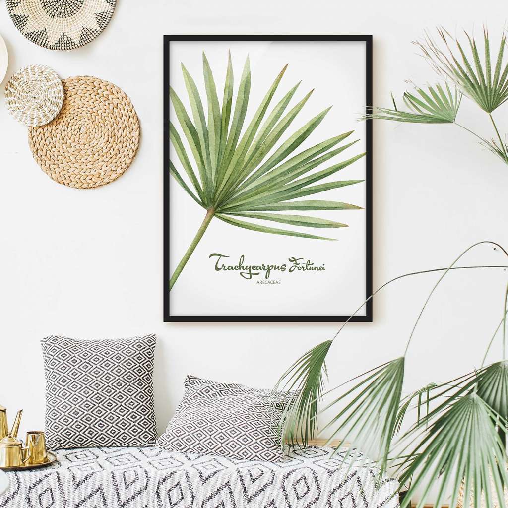 home24 Bild Aquarell Botanik Trachycarpus