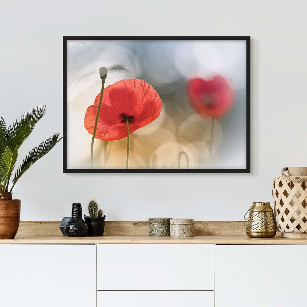 home24 Bild Mohnblumen am Morgen V