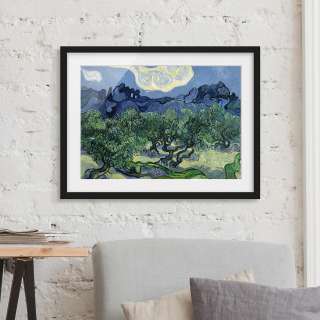 home24 Bild Vincent van Gogh Olivenbäume II