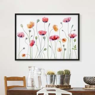 home24 Bild Klatschmohn Party I