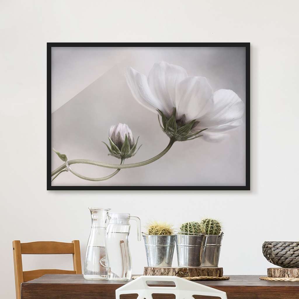 home24 Bild Simply Cosmos V