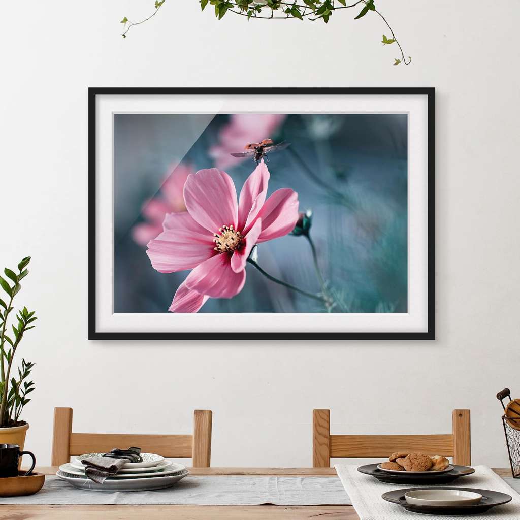 home24 Bild Marienkäfer beim Start II