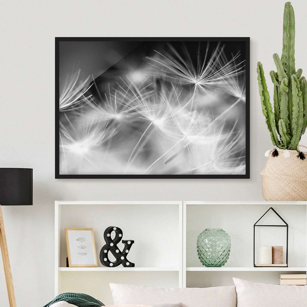 home24 Bild Bewegte Pusteblumen