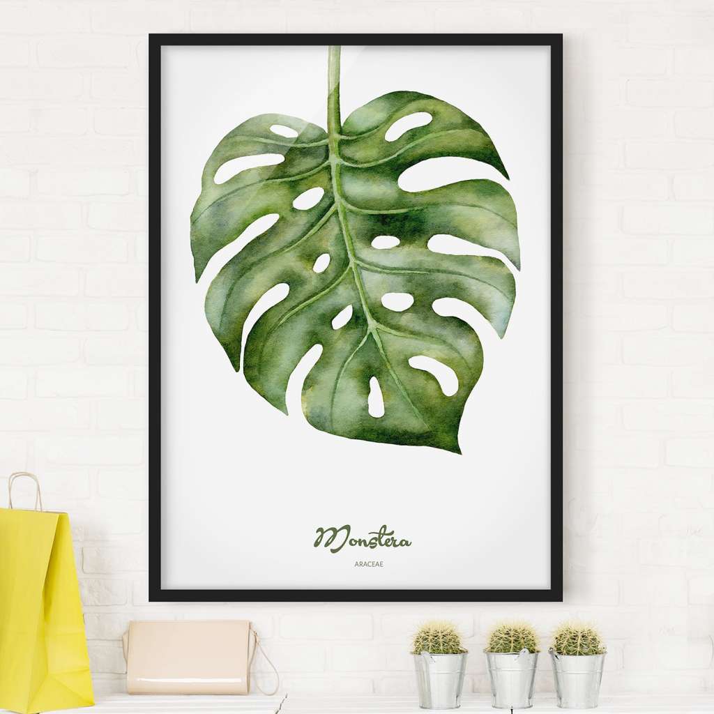 home24 Bild Aquarell Botanik Monstera