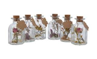 Deko Flasche mit Trockenblumen, sortiert ¦ mehrfarbig ¦ Naturprodukte, Glas  Ø: 6 Dekoration > Dekoartikel - Höffner
