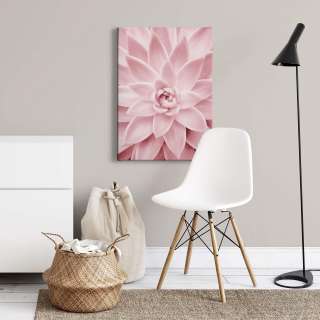 home24 Leinwandbild Pink Succulents