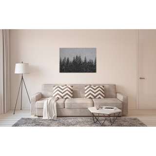 home24 Leinwandbild Black Forest