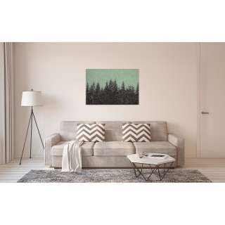 home24 Leinwandbild Black Forest