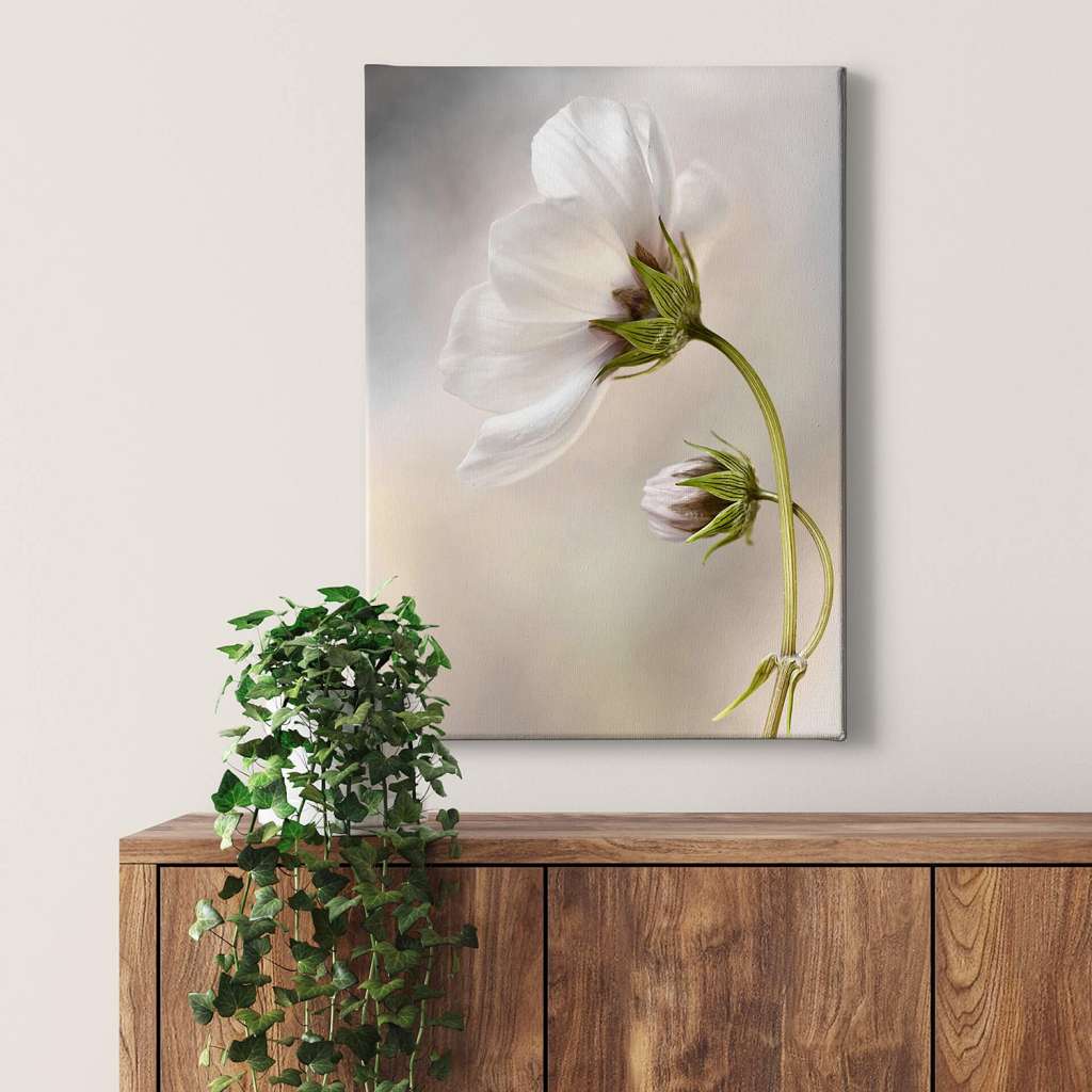 home24 Leinwandbild Blumen Cosmos