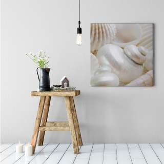 home24 Leinwandbild Pearls Muscheln