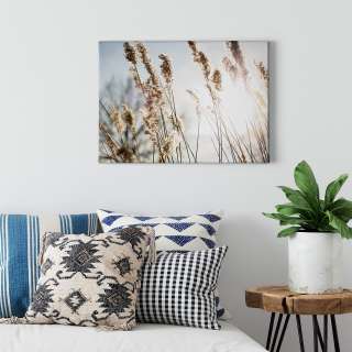 home24 Leinwandbild Natur Pampas Grass