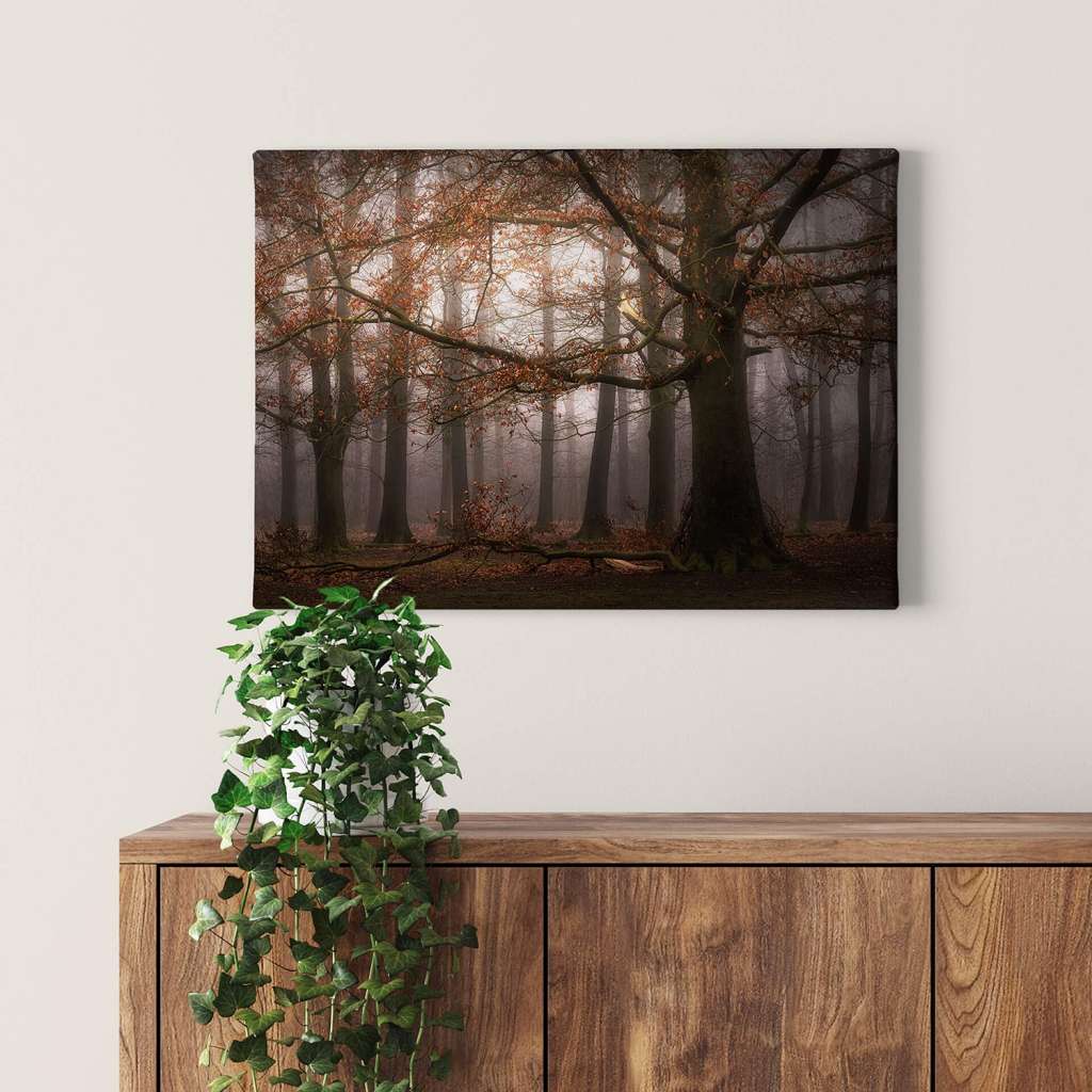 home24 Leinwandbild Dingemans