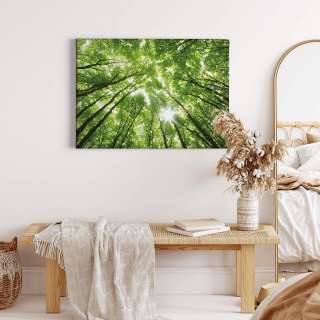 home24 Leinwandbild Treetops Forest