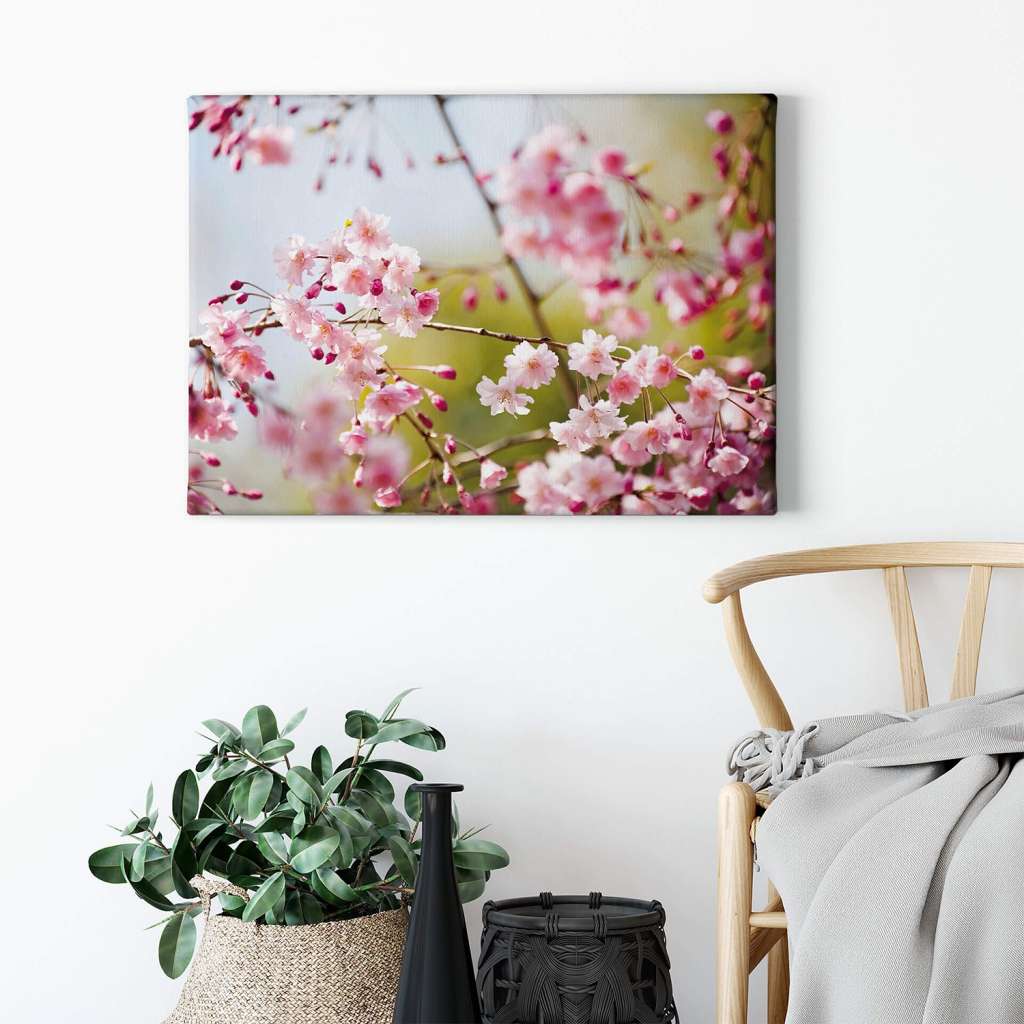 home24 Leinwandbild Cherry Blossoms
