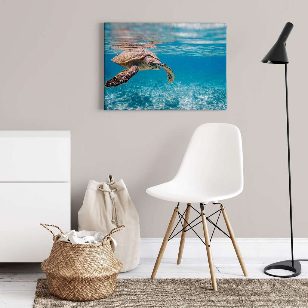 home24 Wandbild Traveling Turtle