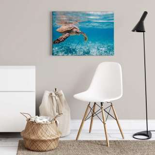 home24 Wandbild Traveling Turtle