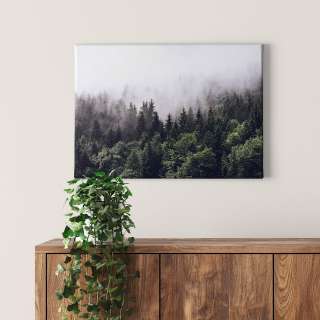 home24 Leinwandbild Nebliger Foggy Forest