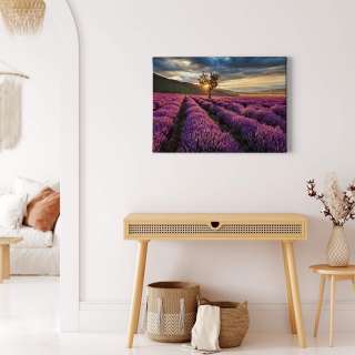 home24 Leinwandbild Lavender Fields