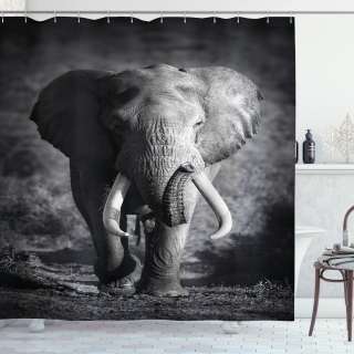 home24 Duschvorhang Wildlife Elefant