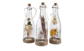 LED Trockenblumen in Glasflasche, sortiert ¦ mehrfarbig Ø: 7 Lampen & Leuchten > Innenleuchten > Lampen Zubehör - Höffner