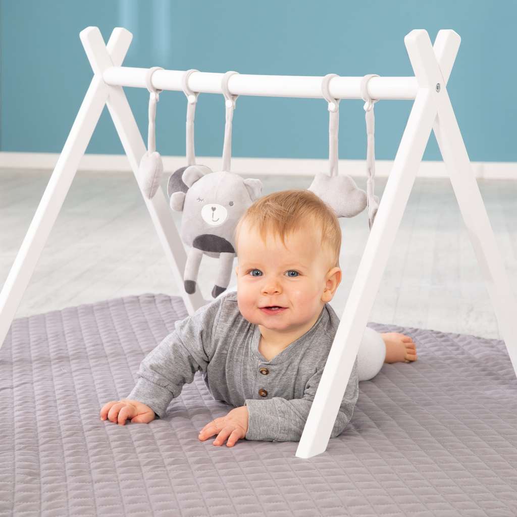 home24 Babygym Spieltrapez Roba Basic