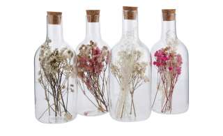 Trockenblumen in Glasflasche, sortiert ¦ mehrfarbig ¦ Naturprodukte, Glas  Ø: 6.5 Dekoration > Kunstblumen - Höffner