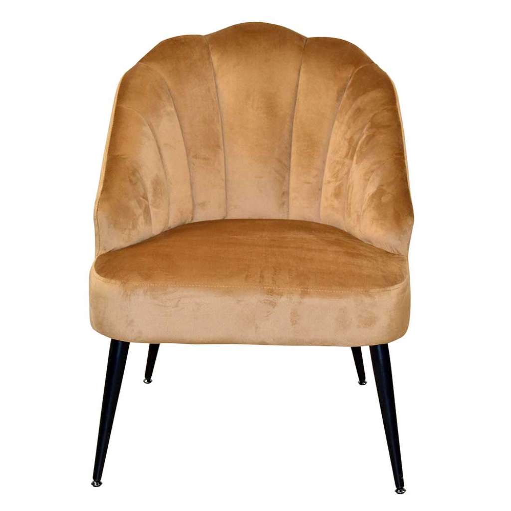 Samtsessel in Beige & Schwarz Retrostil