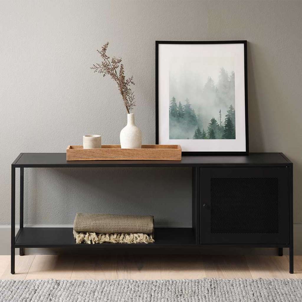 Niedriges Wohnzimmerregal im Industry und Loft Stil Gittertür