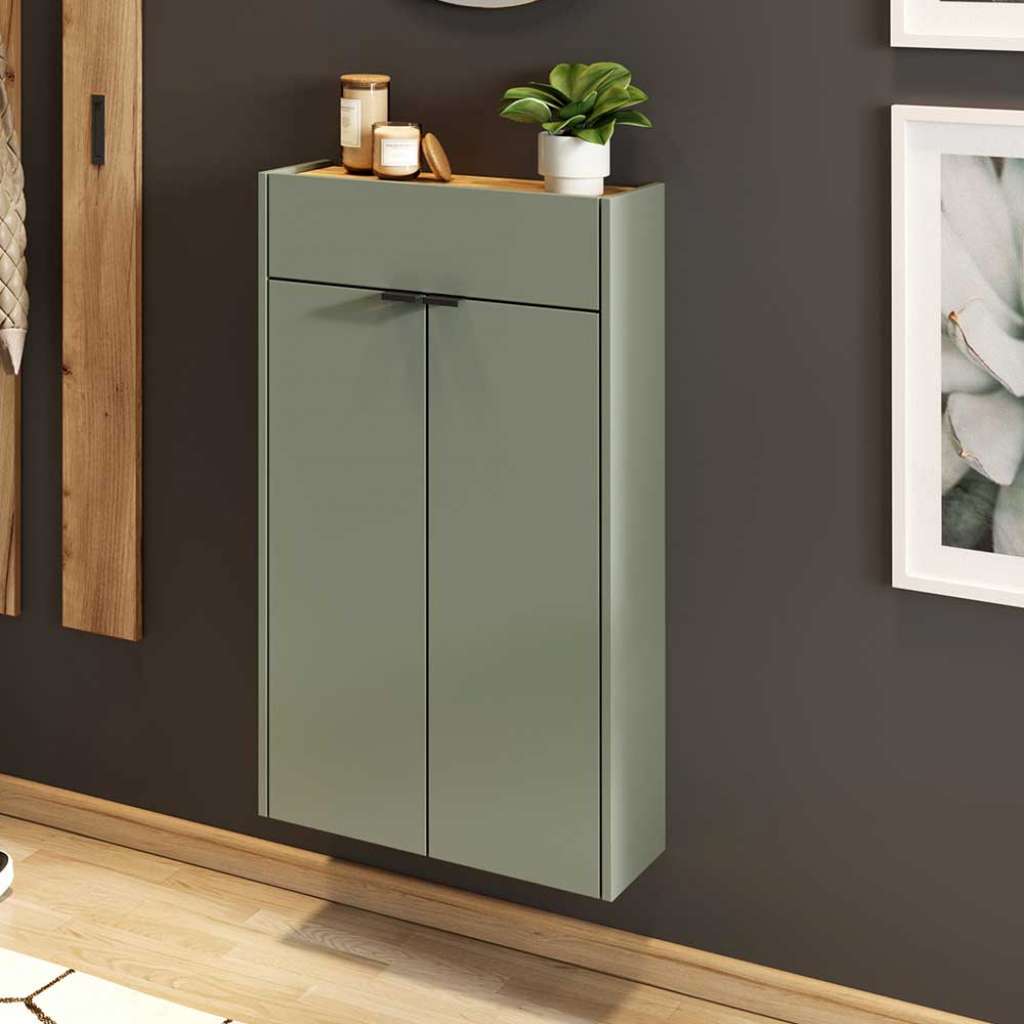Wand Dielenschrank modern in Graugrün Wildeichefarben