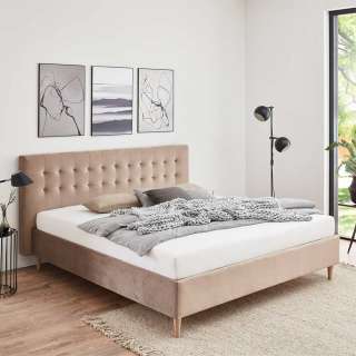 Polster Bett 140x200 cm in Taupe Samt Vierfußgestell aus Holz