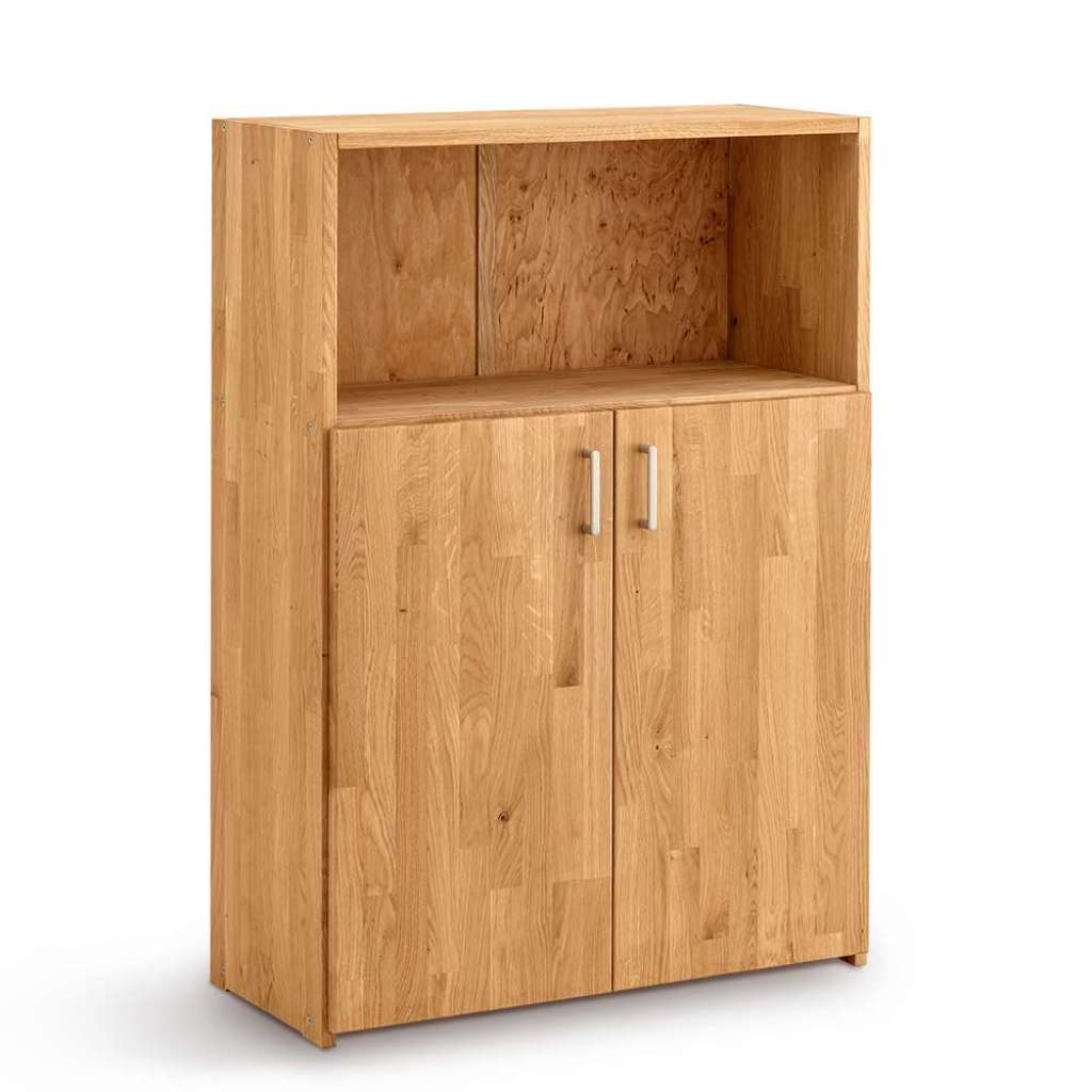 Büroschrank Wildeiche geölt 2 türig modernem Design